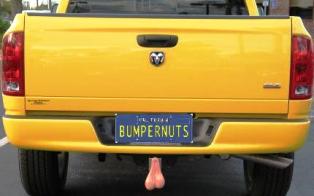 bumpernuts.JPG