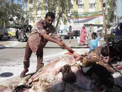 Blood Soaked muslim man stacking animal pelts