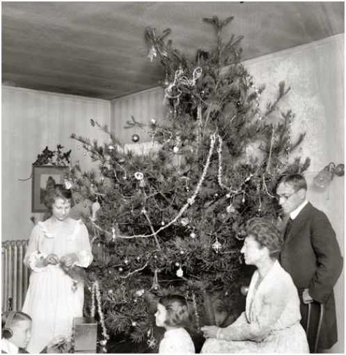Christmas Trees Used to be Ugly – BelchSpeak